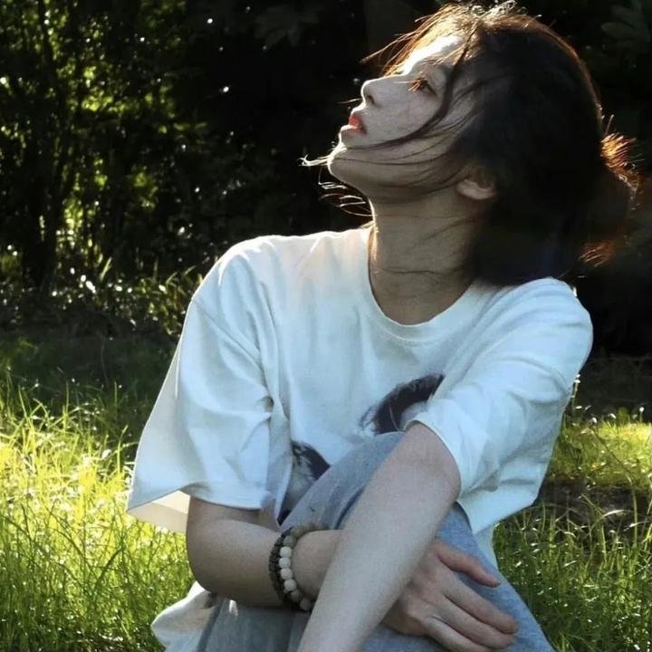 查尔斯天鹅三世的心灵